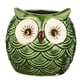 thumbnail image 5 of Taza De Cerámica Tiki Copa De Cóctel Forma Animal Búho Profesional 500ml, 5 of 5