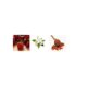 thumbnail image 3 of Perfume BCBGMAXAZRIA Classic Eau de Parfum (EDP) 50 ml para mujer, 3 of 4
