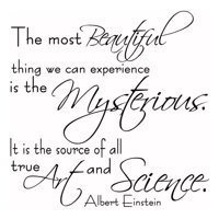 Rienda Libre Graphics - Decomural Art & Science Albert Einstein Ws-44072