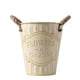 thumbnail image 1 of Macetero Metalico Beige Decorativo Con Asas Jardín S, 1 of 7