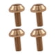 thumbnail image 2 of 4x Bicicleta Botella De Agua Jaula Perno Tornillo Bicicleta Jaula Perno Montaña Ciclismo M5x12mm Oro, 2 of 5