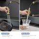 thumbnail image 2 of Grifo de cocina AIMADI Gold con pulverizador desplegable cepillado, 2 of 7