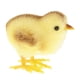 thumbnail image 4 of Artificial Realistic Chicken Figure Outdoor Garden Home Decor Big Chick, 4 of 5