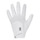 thumbnail image 1 of Guante de Golf Under Armour Iso-Chill para Hombre Blanco/Negro Talla S, 1 of 2