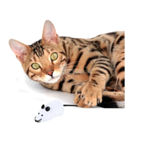 Genérico - Juguete Raton Robotico Para Gato Giratorio