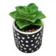 thumbnail image 2 of Planta Artificial Macetero Cerámica Negro Con Puntos Blancos, 2 of 3