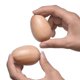 thumbnail image 2 of Set Wood Egg Shakers para percusión musical, 6 unidades, MGTECH, 2 of 5