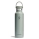 thumbnail image 1 of Botella de agua Hydro Flask Standard 620 ml Agave, 1 of 6