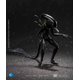 thumbnail image 2 of Figura de acción Hiya Toys Alien contra Predator Alien Warrior, 2 of 9