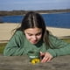 thumbnail image 5 of Lupa Carson BugLoupe 4.5x para niños, color verde, 5 of 6
