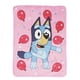 thumbnail image 1 of Manta Bluey Microfibra 46x60 Globos Rosa Niños, 1 of 3