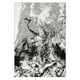 thumbnail image 1 of Alfombra Amigo Gris 240 X 305 Cm, 1 of 3