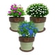 thumbnail image 3 of Set de 3 Maceta Greta 16cm Menta y sus platos, 3 of 3