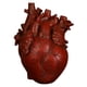 thumbnail image 5 of Florero De Corazón Anatómico Estatua De Resina Adorno De Maceta Rojo 15x10.5x21CM, 5 of 5