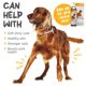 thumbnail image 3 of Suplemento Maxxiomega Omega 3 6 Y 9 Para Perros 300 Ml, 3 of 9