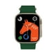 thumbnail image 4 of Smartwatch Reloj Inteligente Bluetooth llamadas 2.02” 380mAh HW8 ULTRA MAX - verde, 4 of 4