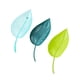 thumbnail image 5 of 3x Embudo De Riego Para Plantas De Interior Y Exterior, 5 of 5