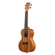 thumbnail image 5 of Ukelele Kala Learn to Play Concierto Started Pack Kala Ltp-c, 5 of 5