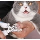thumbnail image 2 of Corta Uñas Perros Gatos Mascotas Tipo Alicate + Lima, 2 of 2