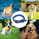 thumbnail image 5 of Collar de perro de lujo de nailon de doble grosor, 5 of 5