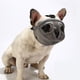 thumbnail image 4 of Bozal de hocico corto para perros bulldog, ajustable, antimordeduras, ladridos y masticación, máscara anticomidas para perros de boca corta, suministros para mascotas., 4 of 8