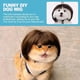 thumbnail image 2 of Peluca Ajustable CoguZed para Perros y Gatos 3 Estilos, 2 of 3