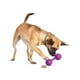 thumbnail image 5 of Juguete para perros Mordible Hueso Waggle Mediano, 5 of 5