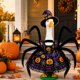 thumbnail image 2 of Escultura STONESTAR Ganso 58 cm con Disfraz de Halloween, 2 of 7