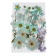thumbnail image 4 of 36/37/38/39/42 Unid Natural Real Secado Presionado Flores DIY Scrapbook Azul Claro, 4 of 5