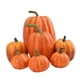 thumbnail image 5 of 7x Calabazas Artificiales A Granel Cosecha Falsa Para Centro De Mesa De Boda De Oto?o Naranja, 5 of 5