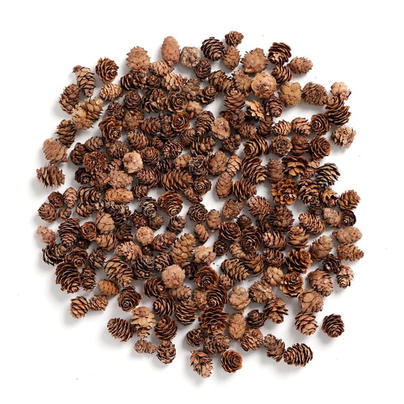 Mini piñas BYHER para manualidades, 230 ml, paquete de 10