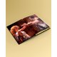 thumbnail image 3 of Libro Bonds of Hercules Edición Deluxe de Canary Street Press, 3 of 5