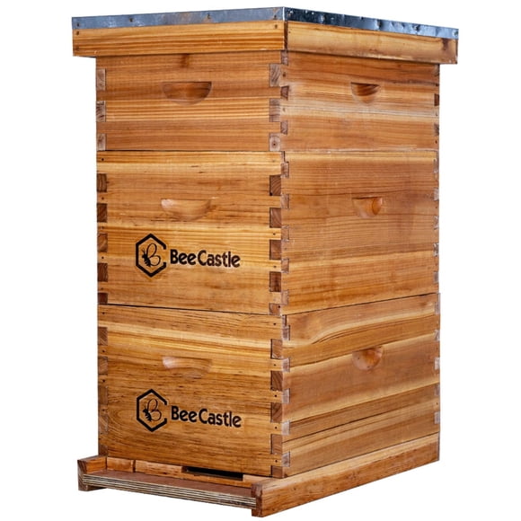Colmena BeeCastle Langstroth de Madera de Cedro Encerada de 8 Marcos