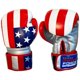 thumbnail image 1 of Guantes de boxeo IPERFORM 283 g Tema Americano 10 oz, 1 of 4