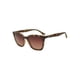 thumbnail image 1 of Lentes de Sol Ohelo Cat 3 Café, 1 of 1