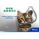 thumbnail image 5 of Antipulgas Desparasitante Gato 2.5-7.5 Kg - NexGard Combo, 5 of 6