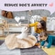 thumbnail image 5 of Cama de peluche para mascotas, cama redonda con forma de donut para perros pequeños, suave y relajante para perros y gatos, cómoda cama para gatos, diámetro exterior de 40 cm, 5 of 5