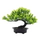 thumbnail image 1 of Árbol De Bonsái Artificial Árbol De Bonsái Falso Para Sala De Estar Patio Pantalla De Escritorio Verde, 1 of 5