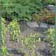 thumbnail image 5 of Valla de jardín Garden Craft, 1,22 m de alto x 15,24 m de largo, acero soldado, 5 of 6