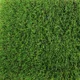thumbnail image 2 of Pasto Sintetico 45mm Rollo 2x1 Metros Realista Con Memoria Guiza, 2 of 8