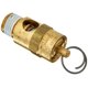 thumbnail image 1 of Válvula de seguridad Tru-Flate 21-707 de Valve Plews, 125 psi, 1 of 1