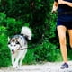thumbnail image 3 of Correa para perros, correa mejorada de manos libres con dos elásticos, correa larga de nailon con cinturón ajustable para correr., 3 of 8