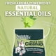 thumbnail image 5 of Kit de limpieza de accidentes de mascotas Sprinkle & Sweep Dog Pee Cleaner, 5 of 9