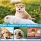 thumbnail image 3 of Paquete de 3 juguetes de goma para masticar para cachorros, juguetes para la dentición de cachorros de 2 a 8 meses, juguetes para perros que alivian la picazón y limpian los dientes., 3 of 7