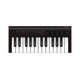 thumbnail image 1 of Mini teclado MIDI portátil IK Multimedia iRig Keys 2 de 25 teclas, 1 of 9