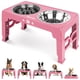 thumbnail image 1 of Cuencos elevados para perros Jovrun para perros medianos y grandes con 2 cuencos, 1 of 7