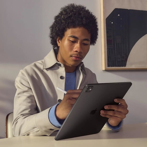 iPad Pro 11 M5 Wi-Fi + Cellular pantalla estandar 256GB negro