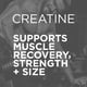 thumbnail image 2 of Suplemento Purbolics Creapure Creatine Monohydrate 5g Rainbow, 2 of 3