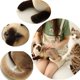 thumbnail image 4 of Peluche GUDVES, gato siamés, pelo corto, 30 cm, para niños, 4 of 9