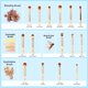 thumbnail image 2 of Set de Brochas de Maquillaje Jessup Premium Sintéticas 15 piezas T137, 2 of 8